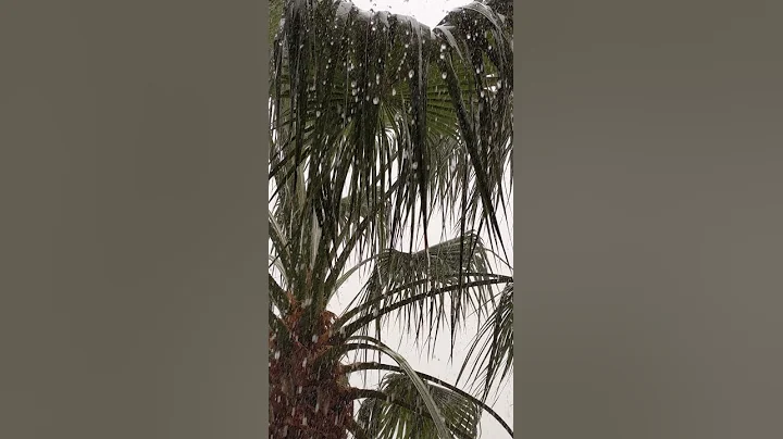 Florida Rain