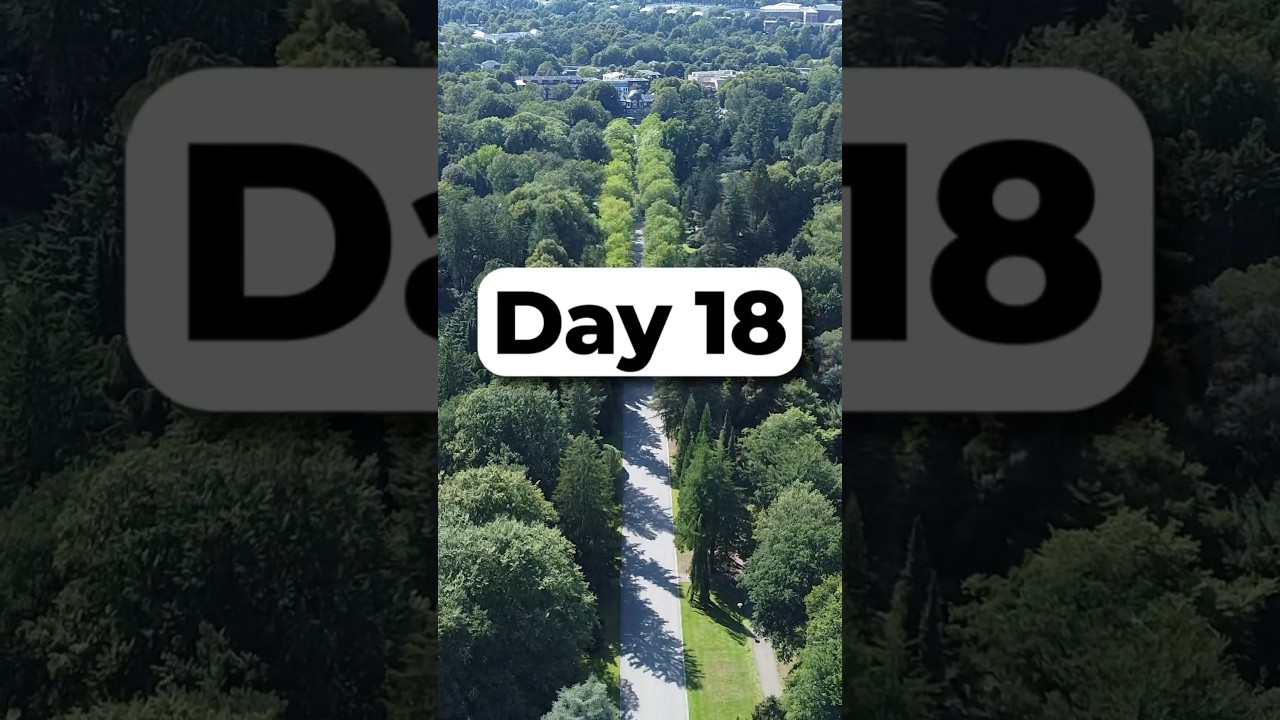 August Run Challenge on Strava - Day 18. 