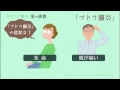 やさしく学ぶ－目の病気　ブドウ膜炎