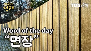 Facing the wall 👀 "면장" | Word of the day