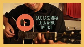 Vídeo de Bajo La Sombra De Un Arbol