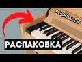 НЕ ПОКУПАЙ пока не увидишь ЭТО - что в коробке Rockdale Virtuoso