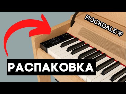 НЕ ПОКУПАЙ пока не увидишь ЭТО   что в коробке Rockdale Virtuoso