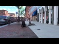 Downtown Concord NH duration Down Cole and Vader (Rottweiler and Bandogge) Downtown Concord NH duration Down Cole and Vader (Rottweiler and Bandogge)