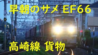 EF66 EH200 EF65 高崎線 早朝貨物 2023.5.27