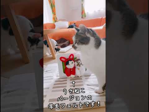 プレゼントいただきました #shorts