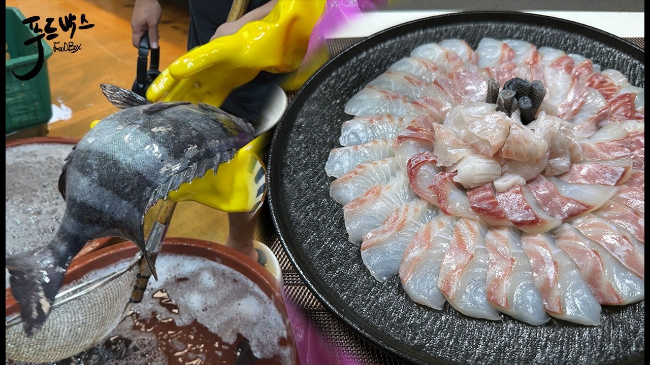 "이런걸 알려드려야 하나 고민됩니다.." 잠깐 망설이다 눈앞에서  뺏겨버린 초가성비 고급생선"