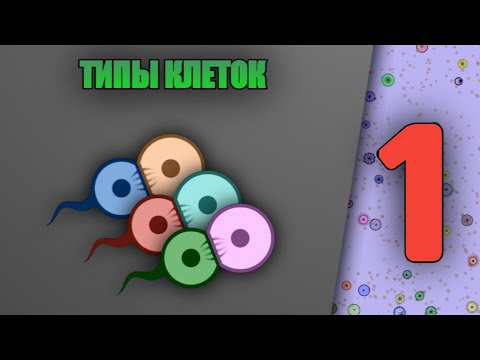 ОБУЧЕНИЕ CELL LAB - ТИПЫ КЛЕТОК - ФАГОЦИТ, ЖГУТОЦИТ, ФОТОЦИТ, ДЕВОРОЦИТ