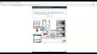 Endocone Physio Ex How to (2024)