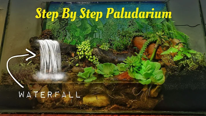 We made a Paludarium with a Waterfall, Here's How!