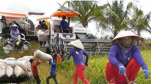 hai máy cắt binh tóc độ chạy bánh 9 cắt lúa ô em 18 giá lúa kêu trời 7400₫K tập43 maibangtv