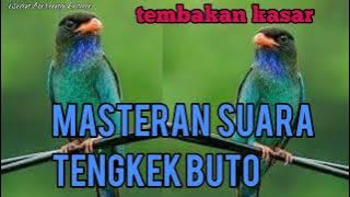download mp3 suara masteran burung TENGKEK BUTO gacor