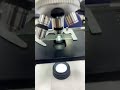 Counting Stomata in a Leaf |practica l Metric| FSC | Biology Lab Experiment