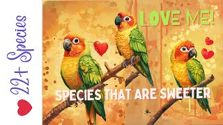 I Need A Sweet Birb!!! Good Companion #parrot | #parrot_bliss by Parrot Bliss 553 views 1 month ago 5 minutes, 40 seconds