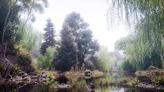 Unreal Engine 4 / UE4 :: RTX Nature Study :: Forest Study #2 (Spreewald) :: Finn Meinert Matthiesen
