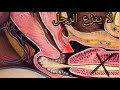 لا ينزع الرجل حتي تقضي المرأه وطرها سر عدم نزع الزوج قبل انقضاء العلاقة لا ينزع الرجل حتي تقضي المرأه وطرها سر عدم نزع الزوج قبل انقضاء العلاقة