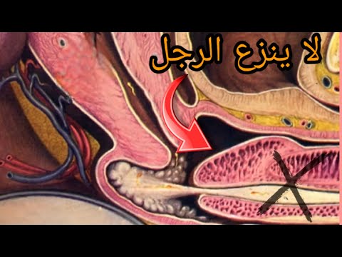 فيديو: من أين يأتي الشبق؟