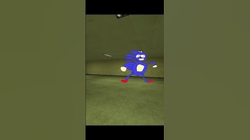 The Sanic NextBot Chase me #garry