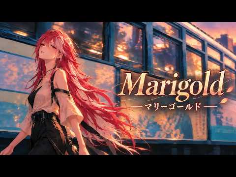 아이묭 - 마리골드 리믹스 커버 | 일본어 가사·발음·한국어 번역 | Marigold Cover