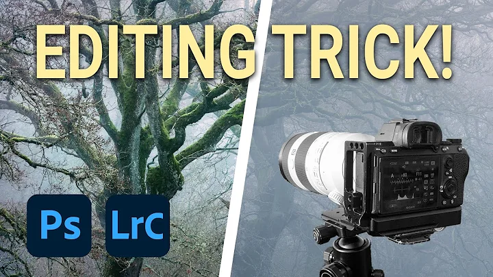 This LIGHTROOM Editing Trick Will Change How You Photograph Forests!