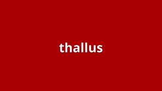 what is the meaning of thallus