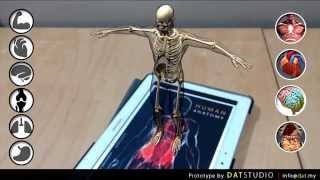 Augmented Reality - Anatomy