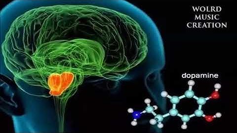 多巴胺分泌音乐 钢琴曲目《第一辑》『Dopamine secretion music piano tracks』"The first series"