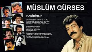 Müslüm Gürses - Habibimsin Resimi