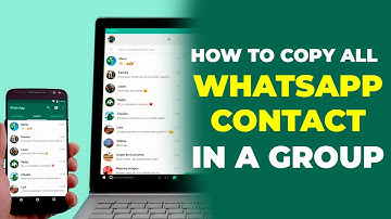 How to Export All WhatsApp Group Contacts-Copy All with Ease