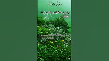 سورة الشعراء اية 83-85 بصوت الشيخ عبدالباسط عبدالصمد Surah Ash-Shu'ara #القرآن_الكريم #quran