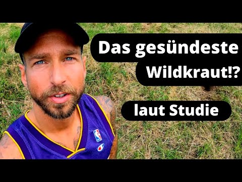 Video: Was bedeutet Brunnenkresse?