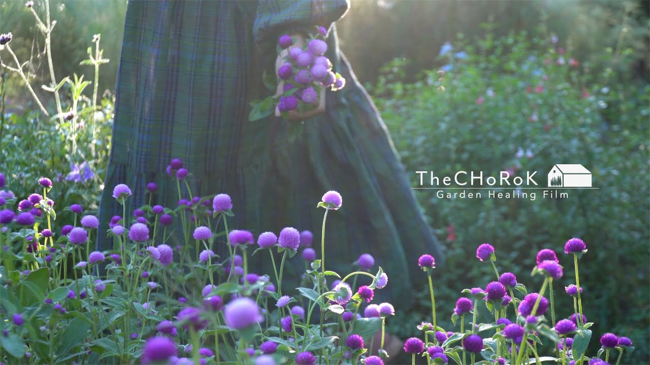 (SUB)초가을정원풍경 | 가을꽃 | 주택정원 | 정원힐링영상