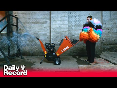 Joe Lycett shreds