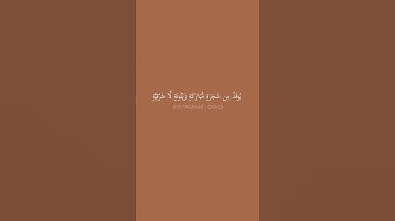 الله نور السموات والارض | سورة النور | للشيخ ناصر القطامي