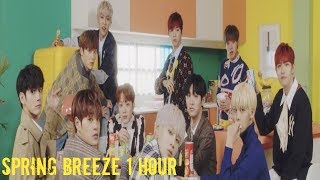 Wanna One (워너원) | Spring Breeze(봄바람) | 1 Hour