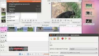 озвучивание видео в kdenlive озвучивание видео в kdenlive