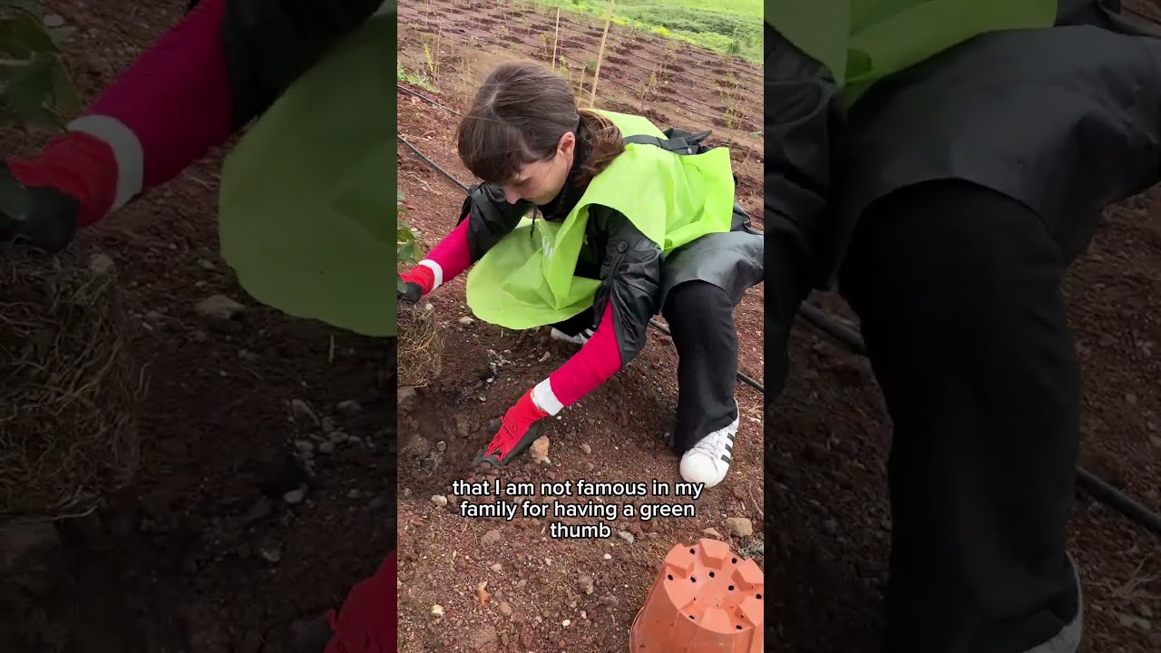 Planting trees in Rome. Are you a green thumb or a black thumb? 