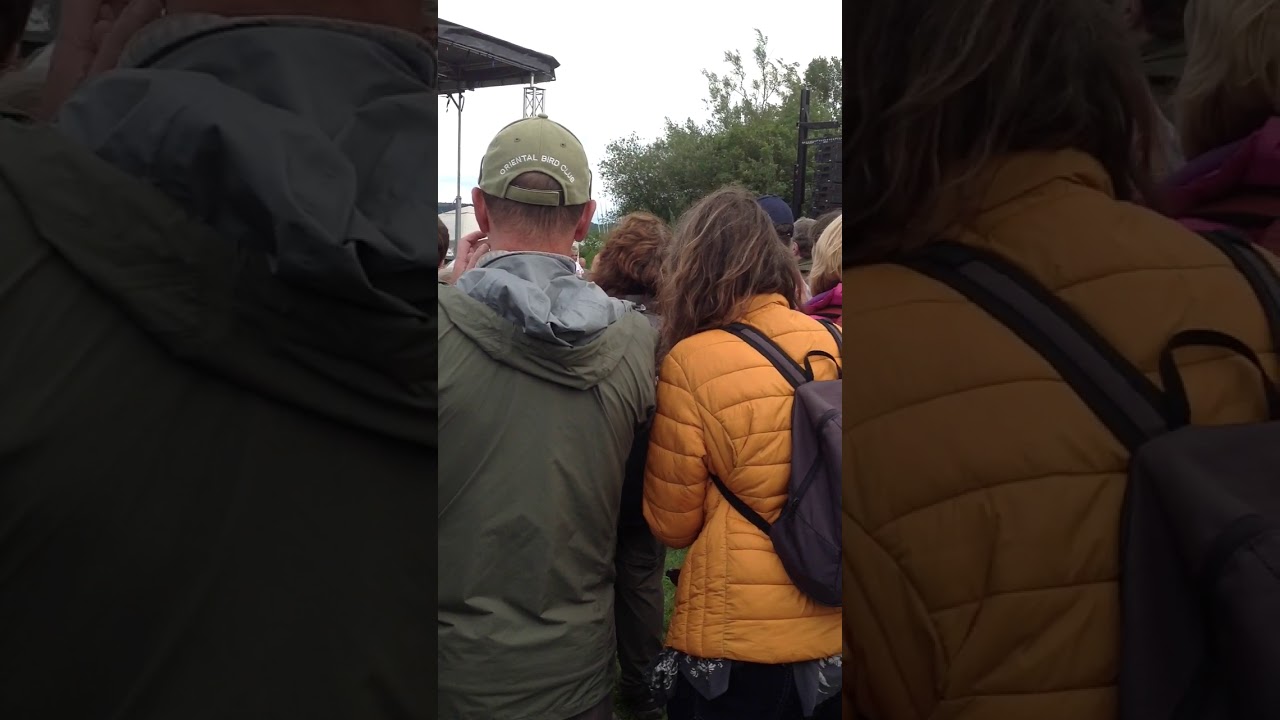 Chris Packham at Hen Harrier Day 2019 