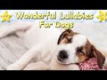 Super Relaxing Lullabies For Puppies ♫ Calm Relax Your Dog ♥ Sleep Music For Dogs Dog Music