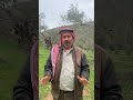 ابو صالح العملة شجرة الشيخ حاتم في جوريش