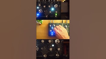 Diffractor Soundings Arboretum Stereo Tremolo #guitarpedals #pedaloftheday #tremolo #modulation