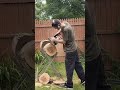 The MIGHTY Stihl 011 With A Carb Swap And 015 Drum Sprocket 1 4 Pitch Must Be The Reed Valve ЁЯШ ЁЯШД The MIGHTY Stihl 011 With A Carb Swap And 015 Drum Sprocket 1 4 Pitch Must Be The Reed Valve ЁЯШ ЁЯШД