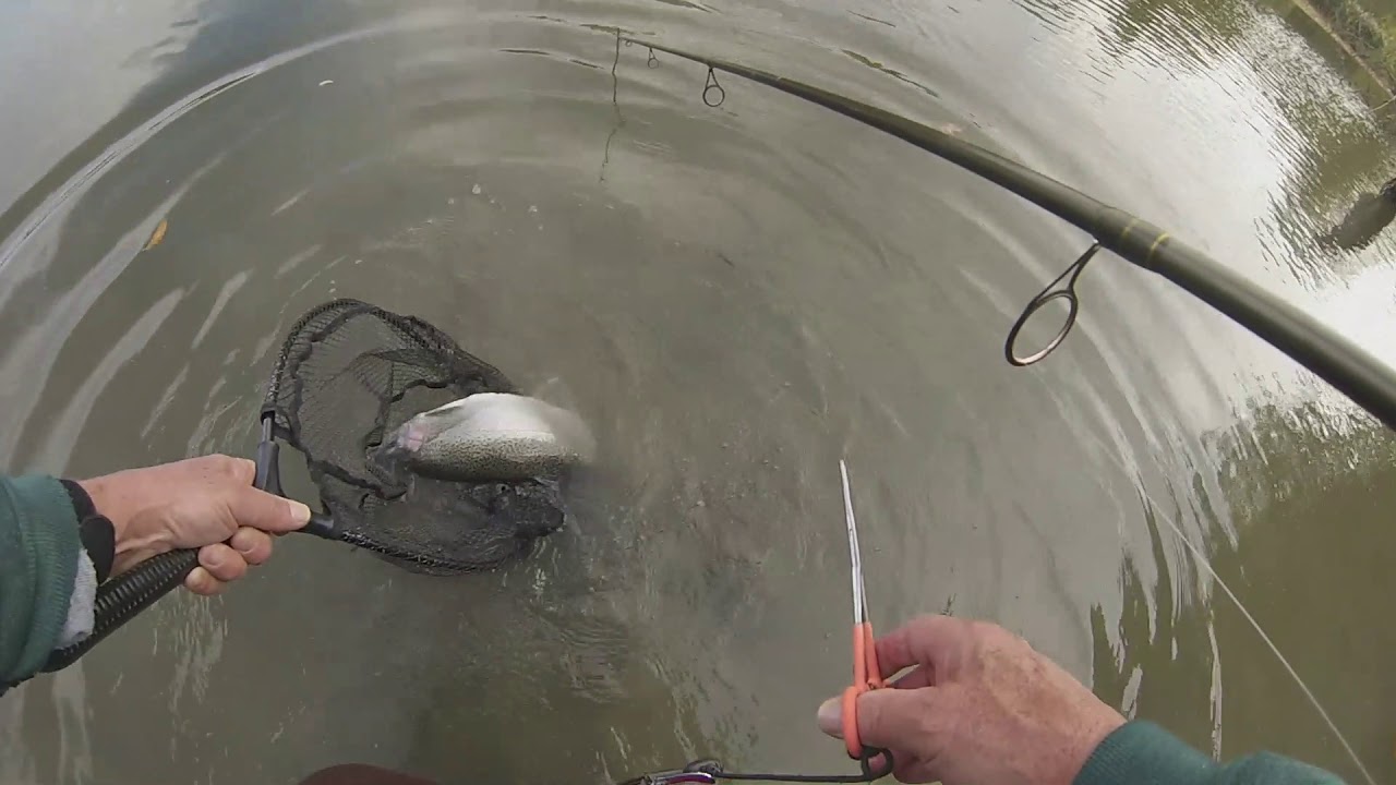 October 21, 2019 Steelhead Fishing Conditions