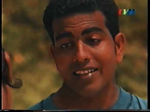 Abadhah 2000
