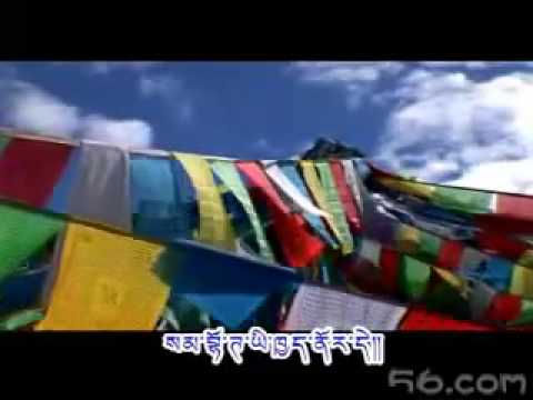 Tibetan Culture flourishing (Gonpo Dhondup) #491