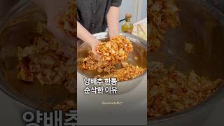 양배추 한통 순삭한 이유