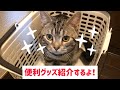 猫の便利グッズ紹介！