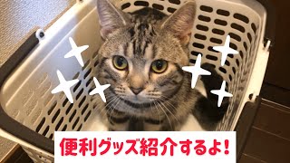 猫の便利グッズ紹介！