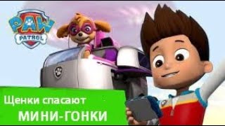 Аудиосказка 🏎🏁 ЩЕНЯЧИЙ ПАТРУЛЬ. Щенки спасают МИНИ-ГОНКИ. Слушать ОНЛАЙН.