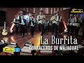 La burrita  los corraleros de majagual  discos fuentes